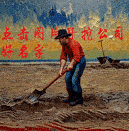 挖出公司好名字