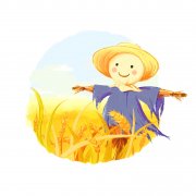 注册公司成功后申报税务的几个误区？